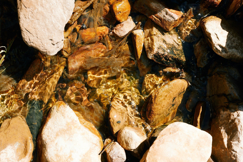 Sodii Hydration - The history of humans and salt why it is so important