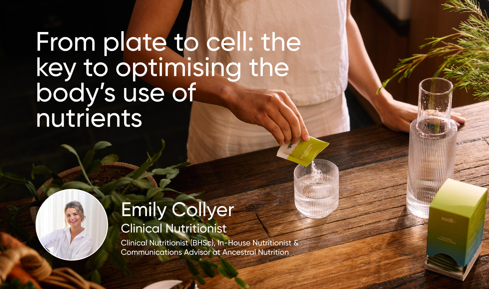From plate to cell: optimising the body’s use of nutrients