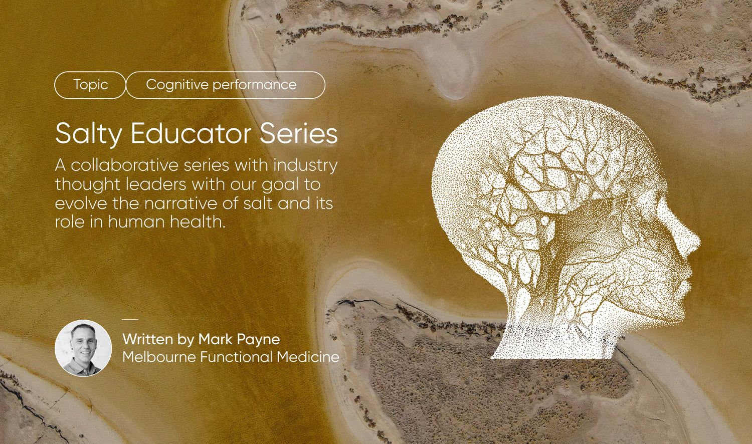 Enhancing cognitive performance: The role of hydration and electrolyte balance