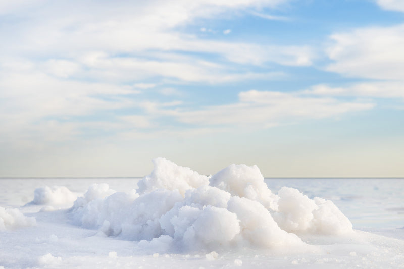 Why do we crave salt? An evolutionary perspective