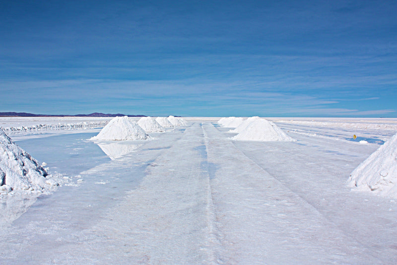 The science on salt intake
