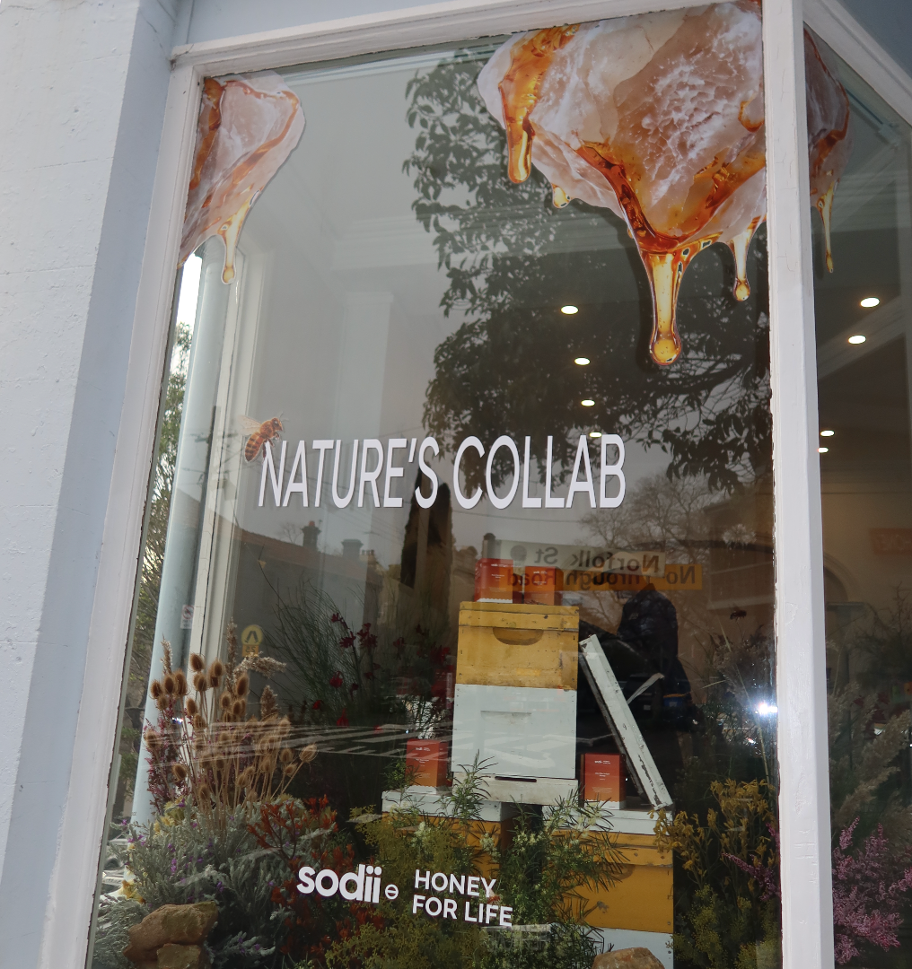 Paddington Pop-up