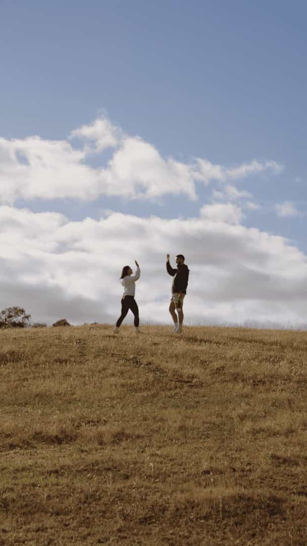 video 2 poster preview